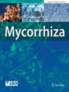 Mycorrhiza